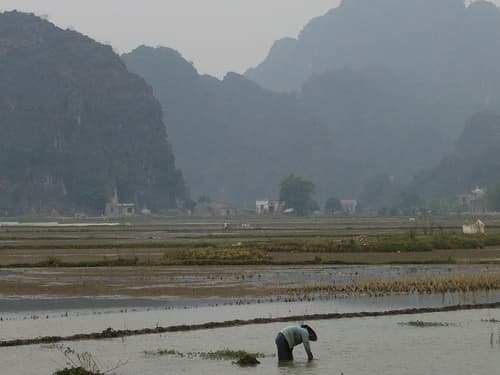 Thuyền len giữa núi đá vôi ở Tam Cốc, Ninh Bình