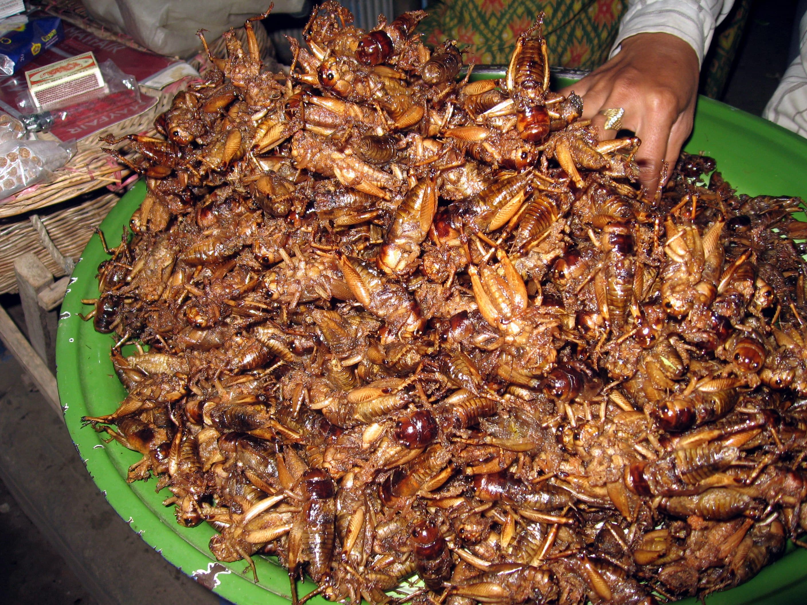 Dế mèn chiên giòn