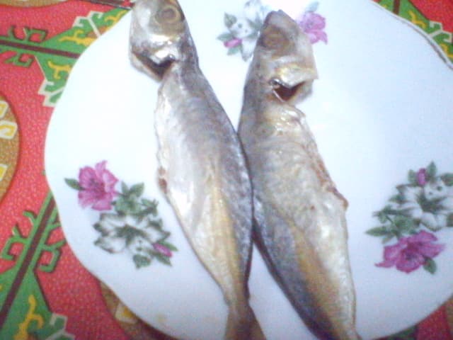 Pelara