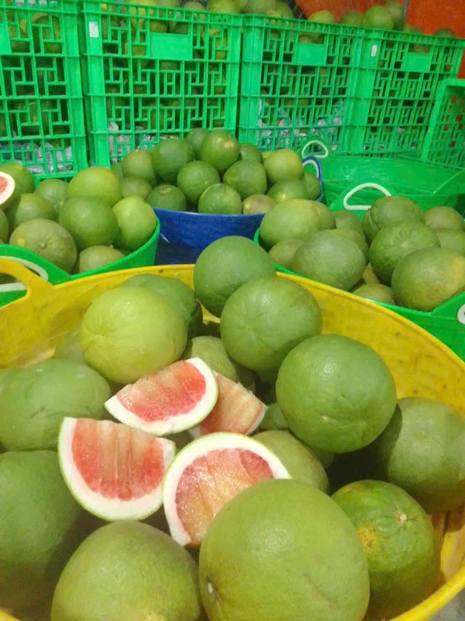 Bưởi da xanh Bến Tre