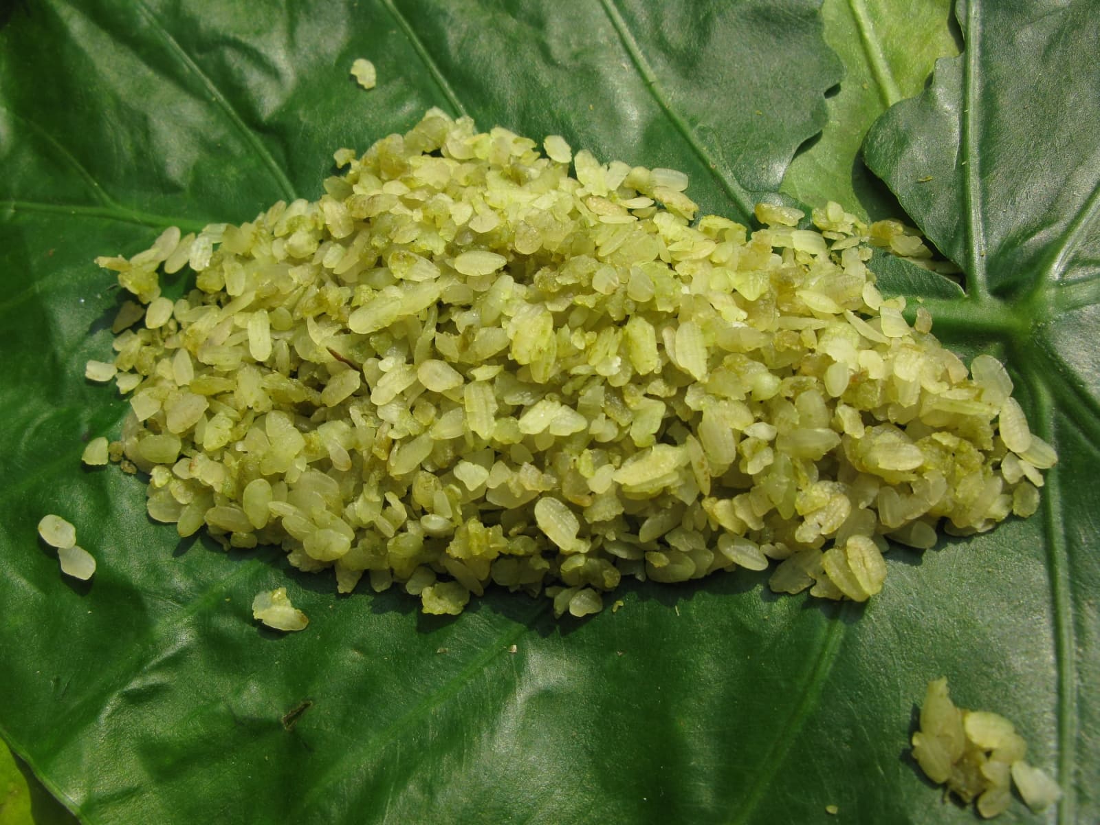 Cốm Tú Lệ Yên Bái