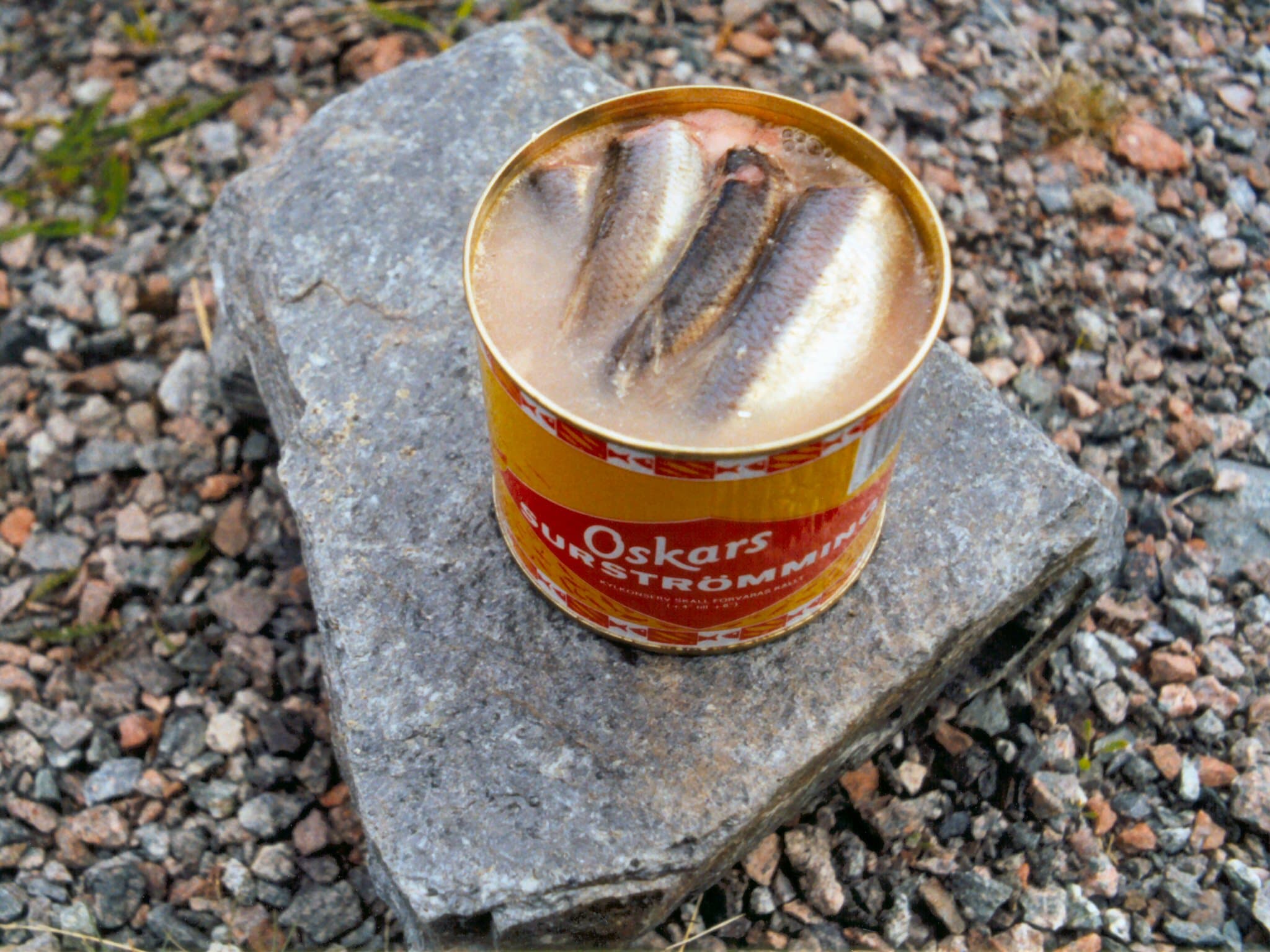 Surströmming (cá trích lên men)