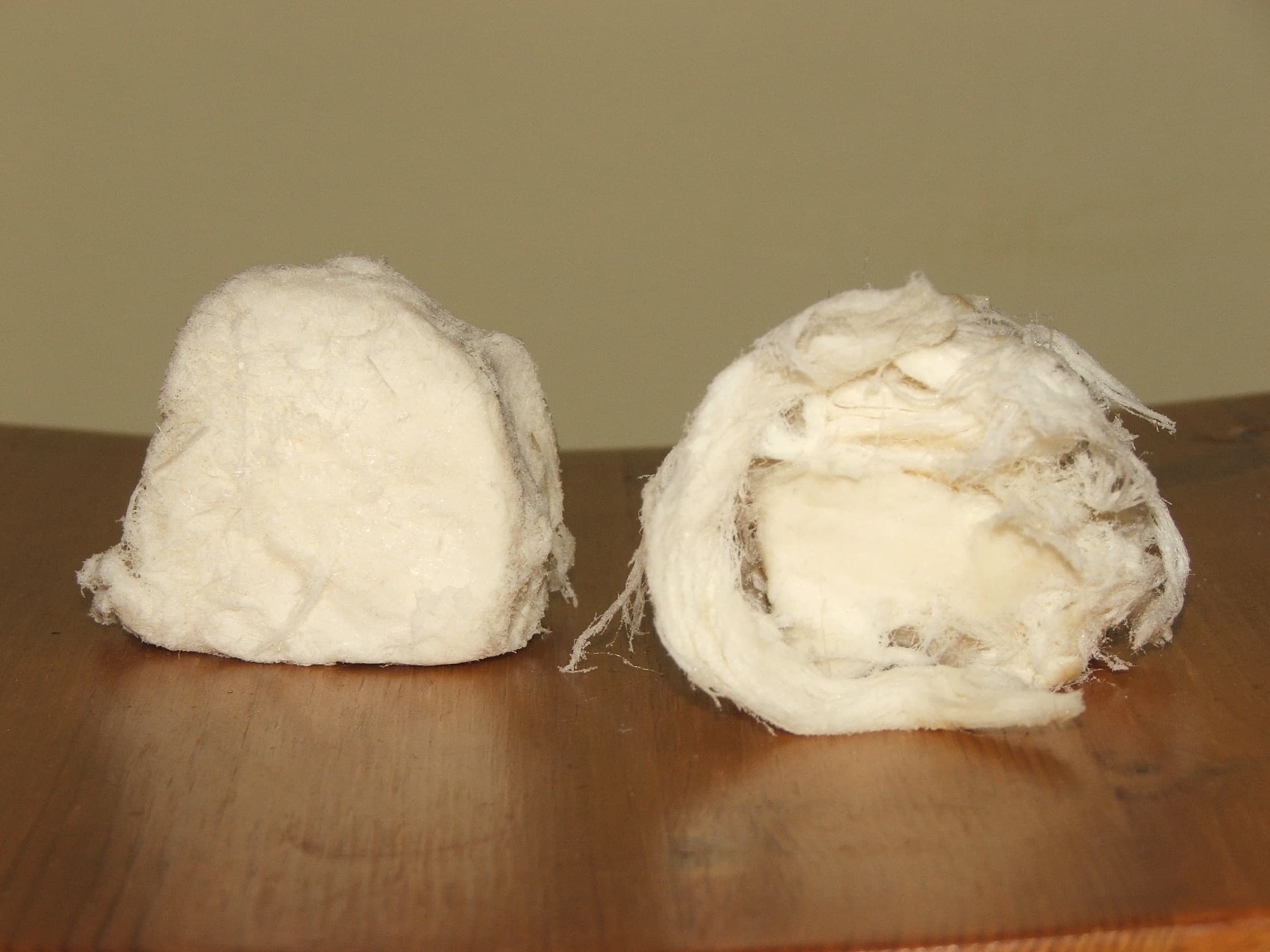 PiŞManiye