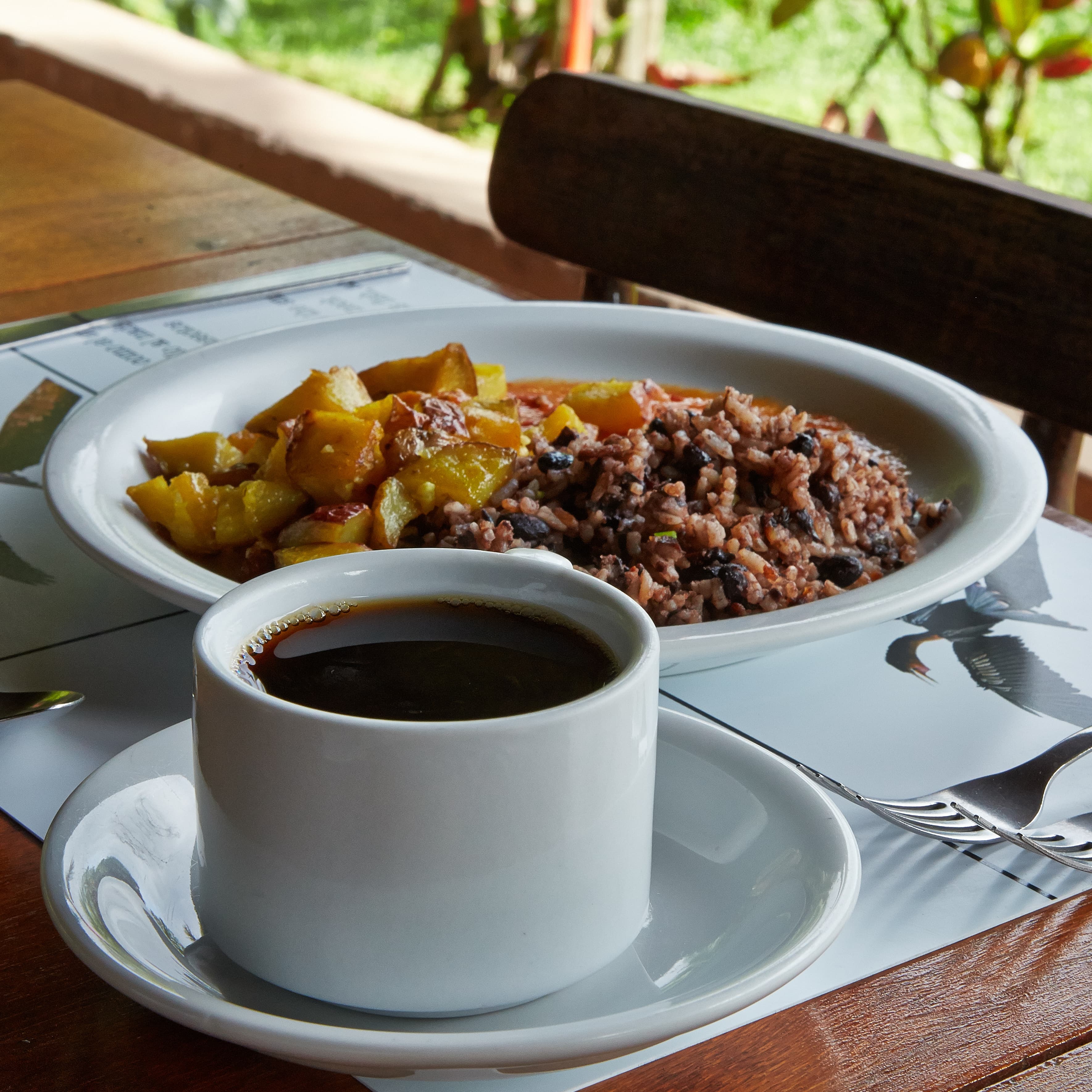 Gallo pinto