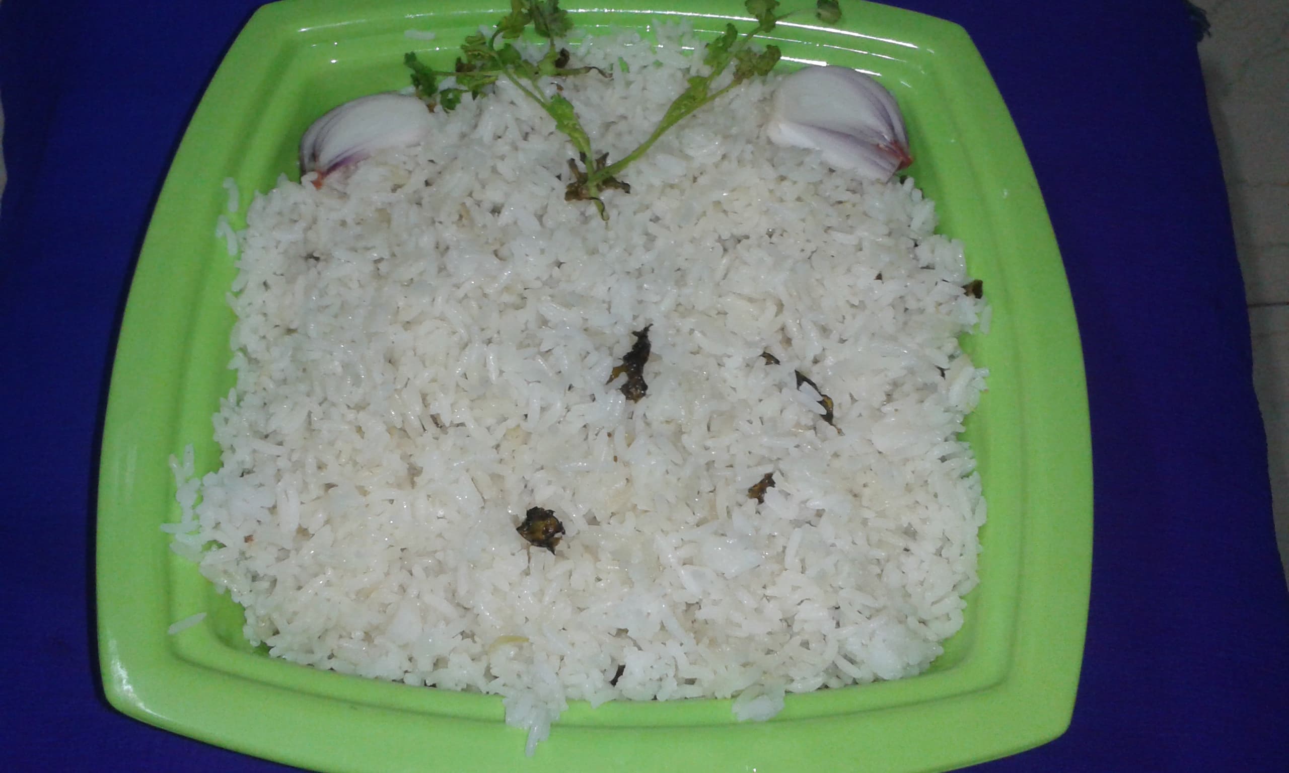 Bagara Khana