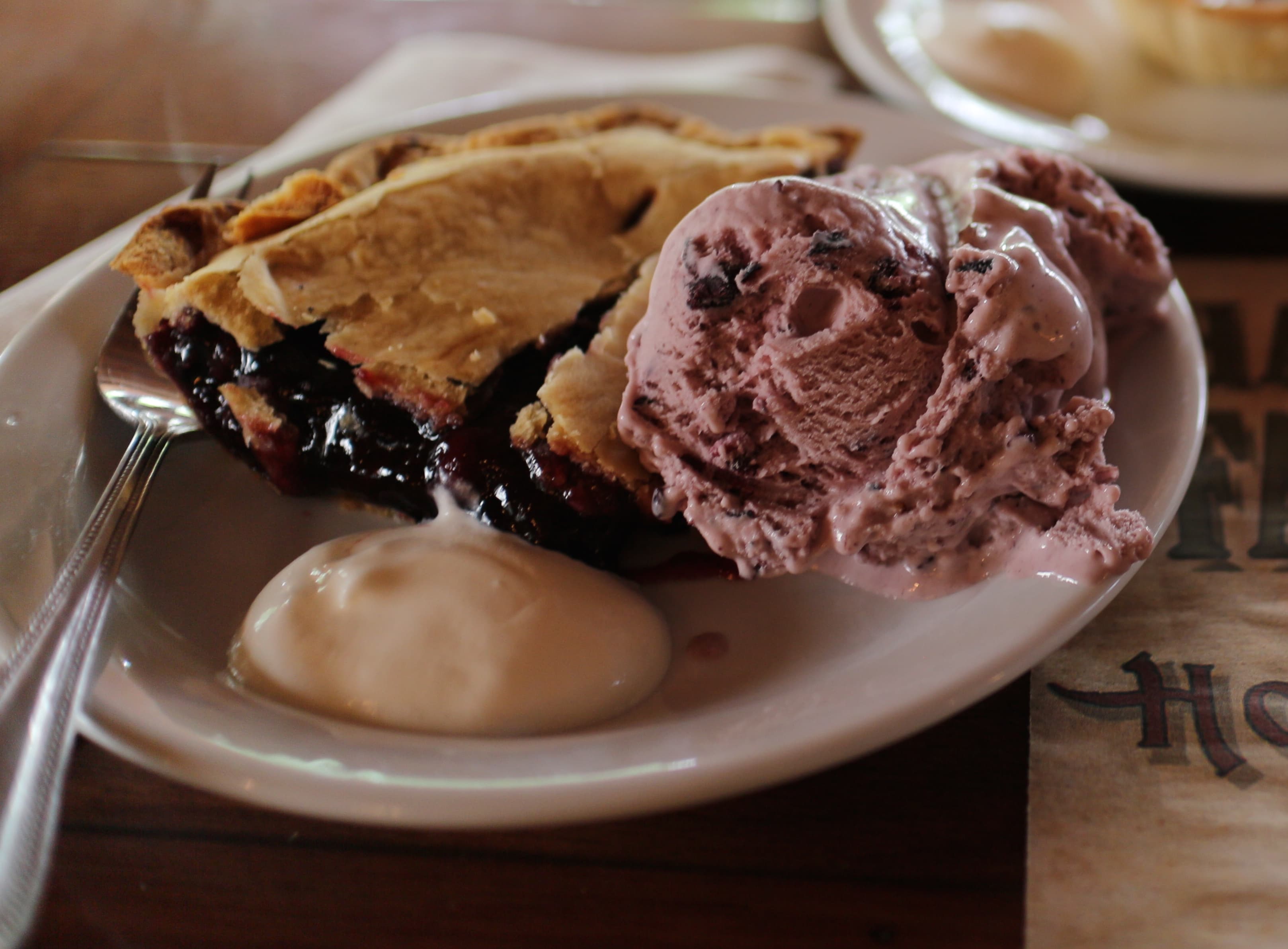Saskatoon Berry Pie