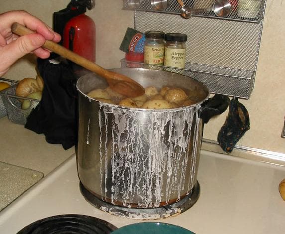 Salt Potatoes