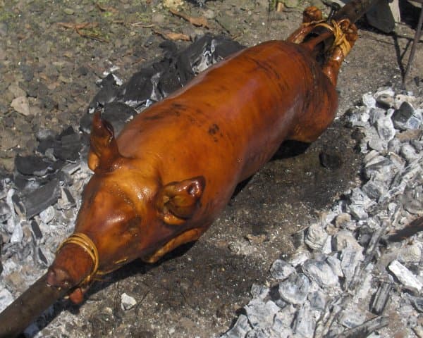 Lợn quay lechon